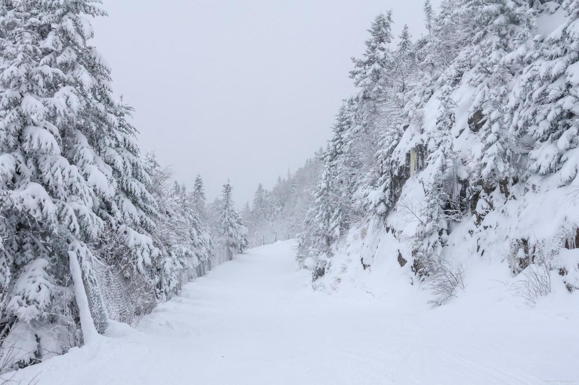 O'Berge Du Village C304 - Bord De L'Eau Magog Zewnętrze zdjęcie